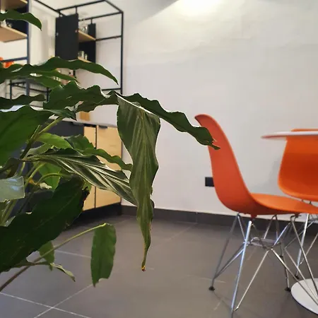 Apartmán La Casa Dell'artista Nel Centro Storico - *