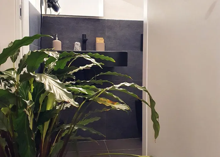 Apartament La Casa Dell'artista Nel Centro Storico - La Spezia